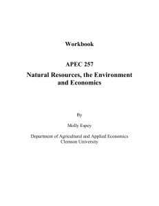 Natural Resources, the Environment and Economics