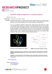 Disulfide bridge assignment in complex proteins - HES