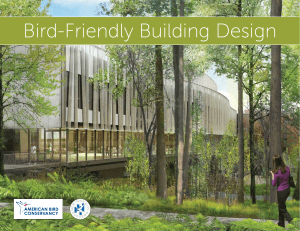 Bird-Friendly Building Design