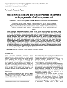 Free amino acids and proteins dynamics in somatic embryogenesis