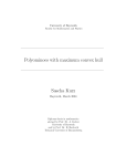 Polyominoes with maximum convex hull Sascha Kurz