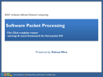 Software Packet Processing