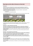 10. Plasmolysis and the effect of Osmosis on Cells