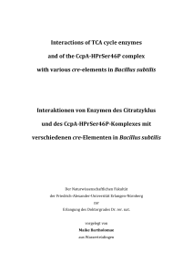 Interactions of TCA cycle enzymes and of the CcpA
