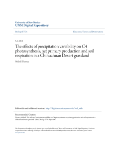 The effects of precipitation variability on C4 photosynthesis, net