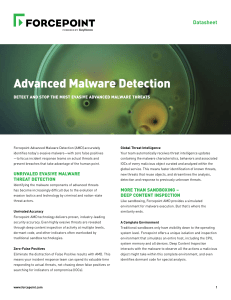 Advanced Malware Detection