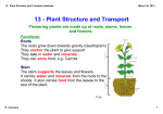 13 - Plant Structure and Transport.notebook