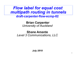 Flow label for equal cost multipath routing in tunnels