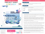project sheet