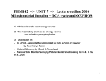 UNIT 7 Mitochondria and hepatic detoxification