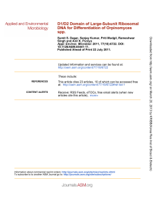 spp. DNA for Differentiation of Orpinomyces D1/D2 Domain of Large