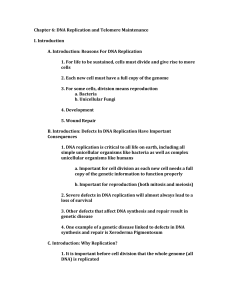 Chapter 6: DNA Replication and Telomere Maintenance I