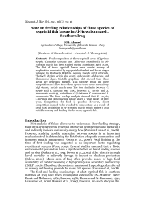 note on feeding relationships of three species of cyprinid fish