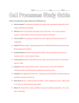 Cell Processes Study Guide OL Answer Key