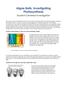 Algae Ball Student Centered Investigations (Word Doc)