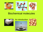 Biochemical molecules