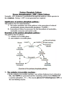 Shunt Pathway Significance of pentose phosphate pathway