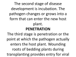 PLANT DISEASE EVALUATION The study of disease in plants