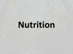 Nutrition Notes.ppt
