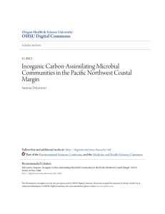 Inorganic Carbon-Assimilating Microbial Communities in the Pacific