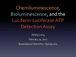 Bioluminescence: Luciferin-Lucferase ATP Detection Assay