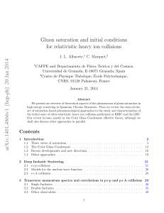 Gluon saturation and initial conditions for relativistic heavy