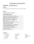 CYTOLOGY LAB ACTIVITY Plant and Animal Cells