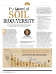biodiversity - Soil Biodiversity Blog