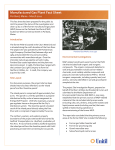 Manufactured Gas Plant Fact Sheet