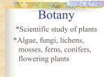 Botany