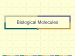 Biological Molecules Power Point