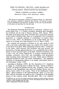 The Flowers, Fruits, and Seeds of Thalassia