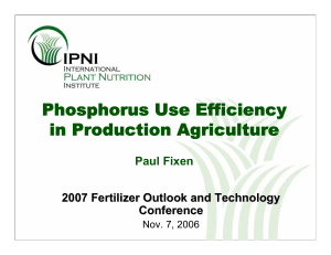 Phosphorus Use Efficiency in Production Agriculture