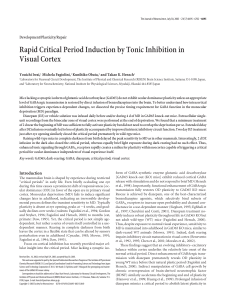 Rapid Critical Period Induction by Tonic Inhibition in Visual Cortex