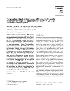 Temporal and Spatial Expression of Homeotic Genes Is Important for