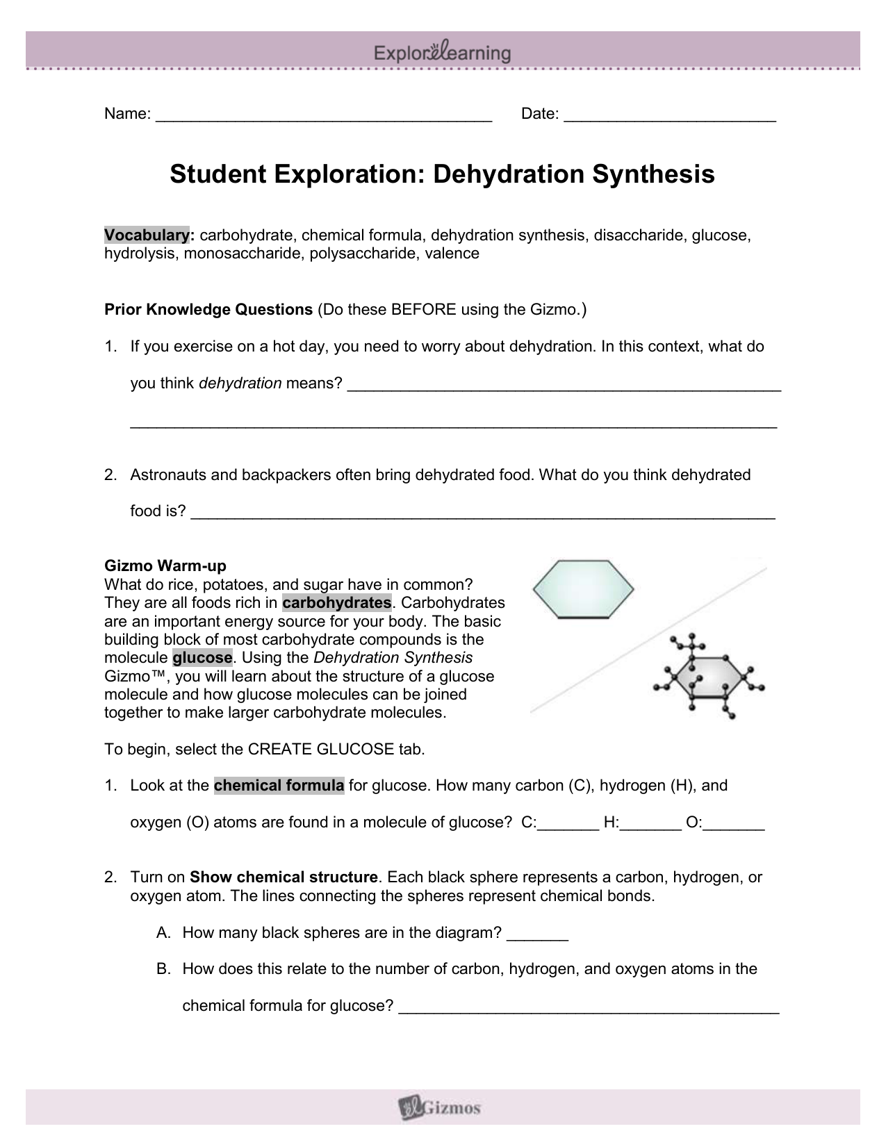 Student Exploration Sheet Growing Plants