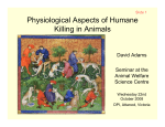 Physiological Aspects of Humane Killing in Animals