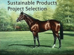 Product Projects Presentation ()