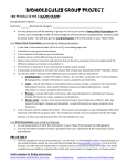 Biomolecules Project Guidelines 2015
