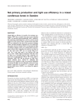 Net primary production and light use efficiency in a