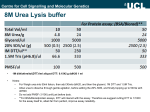 8M Urea Lysis buffer