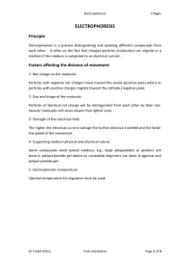 ELECTROPHORESIS
