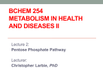 METABOLISM IN HEALTH AND DISEASES I Lecture 2 Pentose