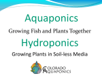 Growing Fish and Plants Together Growing Plants in Soil