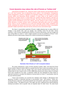 Forest dynamics may reduce the role of Forests as `Carbon sink`