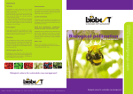 Bumblebee pollination brochure - English