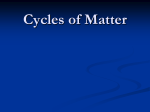 Cycles of Matter 3-3