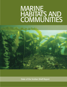 MaRine HabitatS and CoMMunitieS