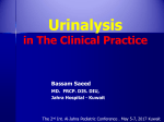 The Urine Analysis in The Clinical Practice - The 2nd Al