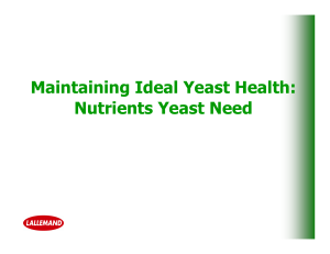 Maintaining Ideal Yeast Health: Nutrients Yeast Need